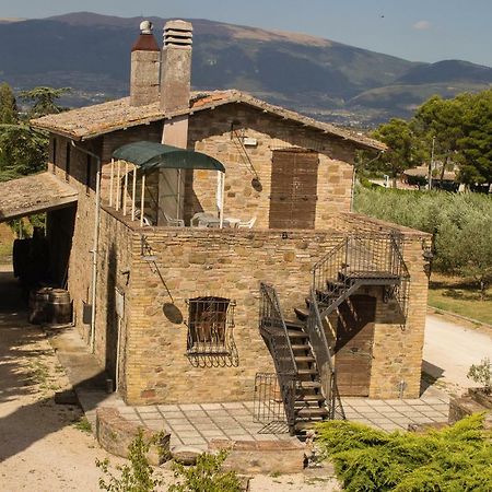 Country House Carmelita Limigiano Exteriör bild