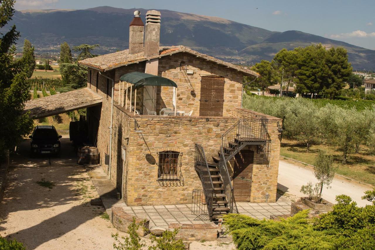 Country House Carmelita Limigiano Exteriör bild